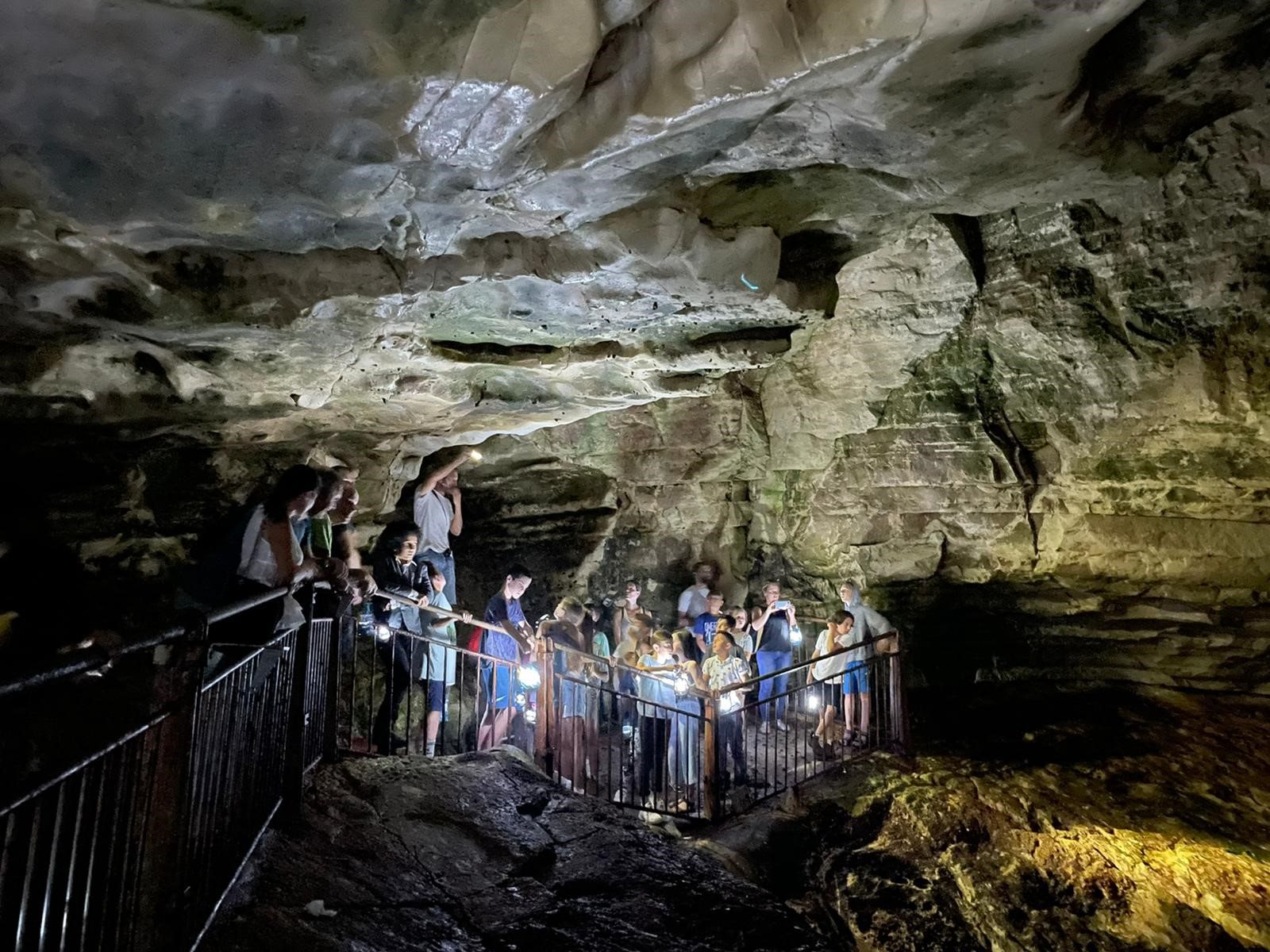 Hanukkah Lantern Tours