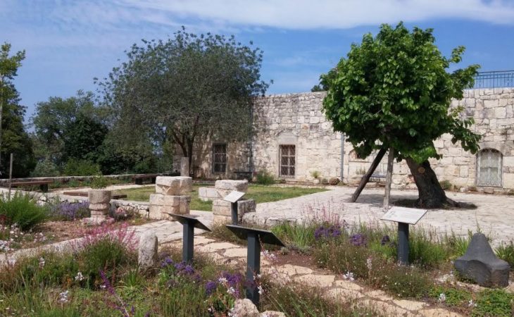 ביקור באתר משולב עם מוזיאון חניתה